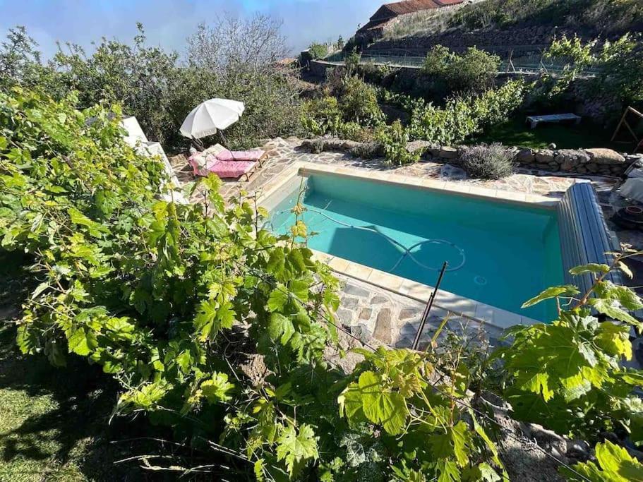 Lilly'S Finca - Romantischter Rueckzugsort - Pool Vilaflor Exteriér fotografie