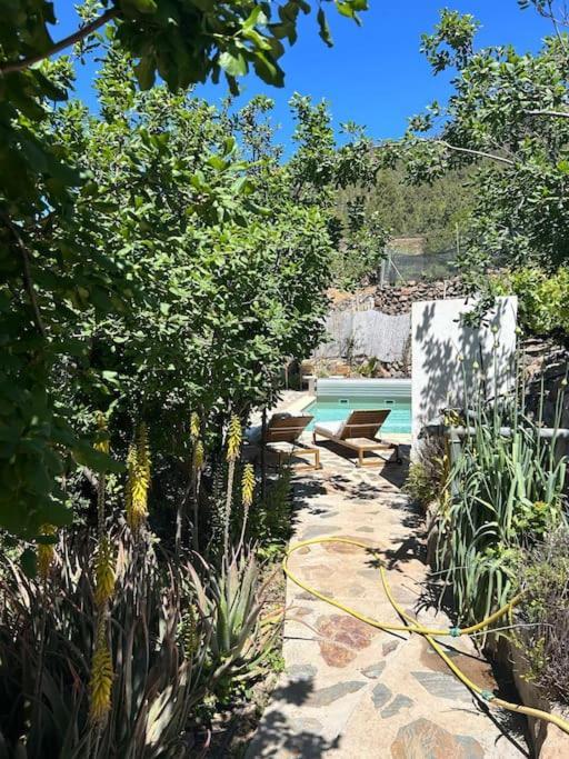 Lilly'S Finca - Romantischter Rueckzugsort - Pool Vilaflor Exteriér fotografie